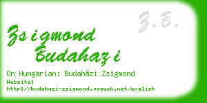 zsigmond budahazi business card